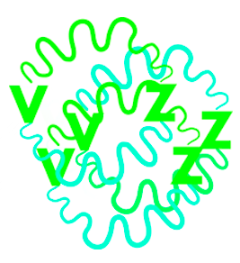 logo pevoc